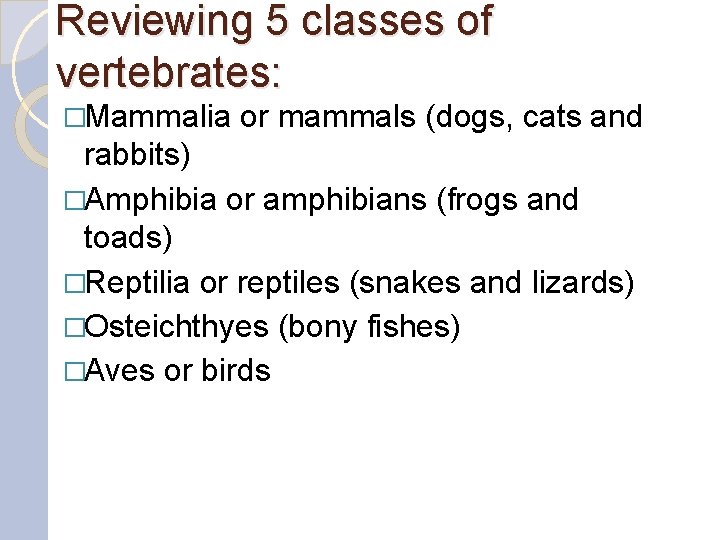 Reviewing 5 classes of vertebrates: �Mammalia or mammals (dogs, cats and rabbits) �Amphibia or