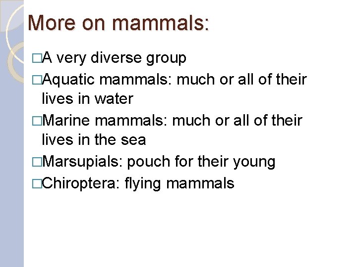 More on mammals: �A very diverse group �Aquatic mammals: much or all of their