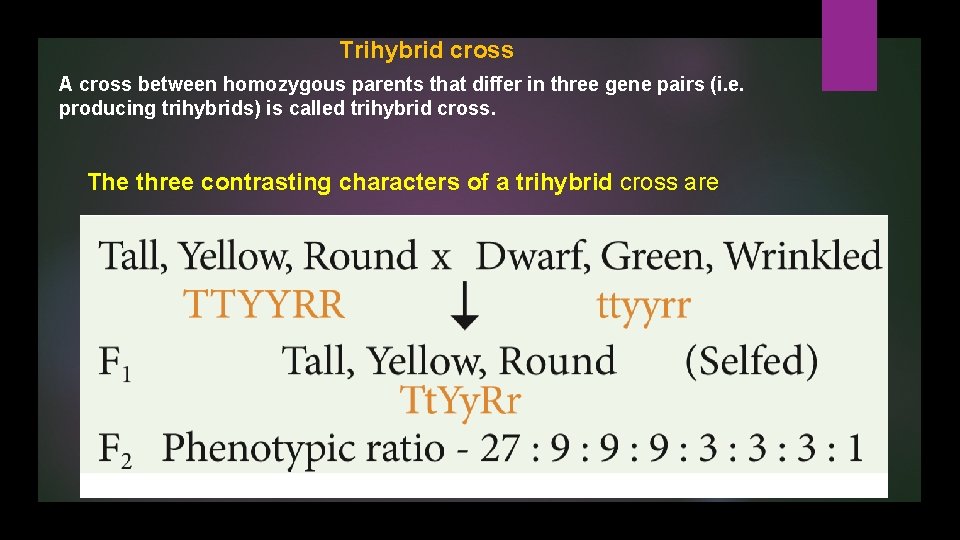 Trihybrid cross A cross between homozygous parents that differ in three gene pairs (i.