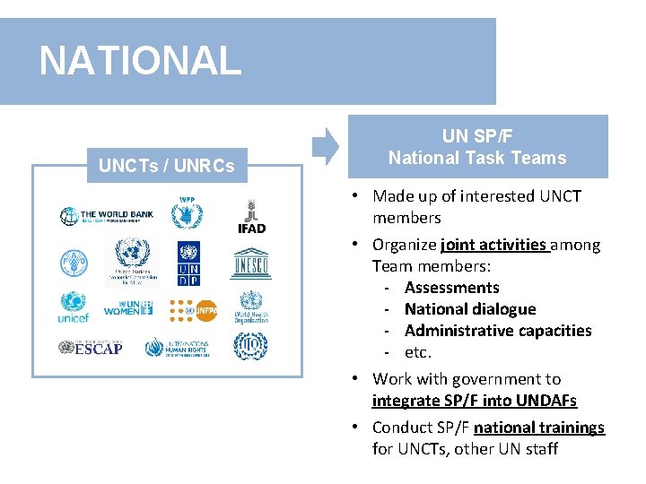 NATIONAL UNCTs / UNRCs UN SP/F National Task Teams • Made up of interested