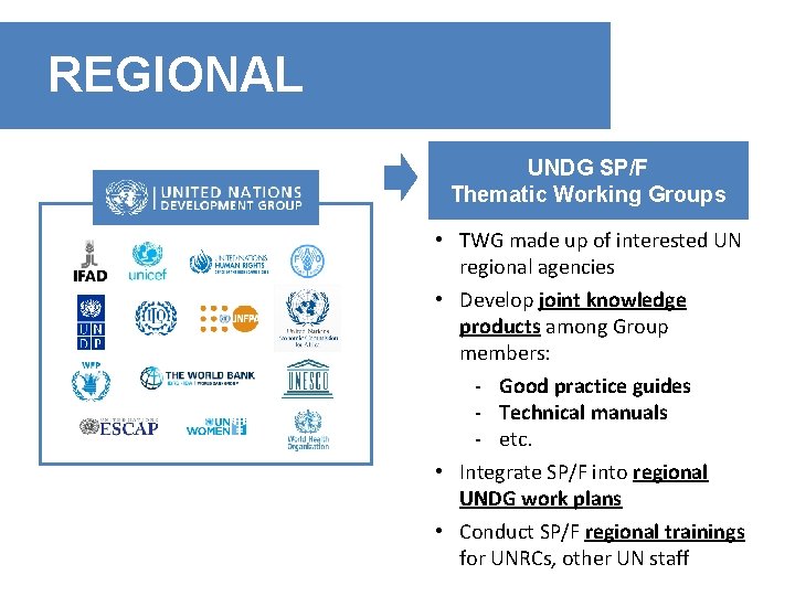 REGIONAL UNDG SP/F Thematic Working Groups • TWG made up of interested UN regional
