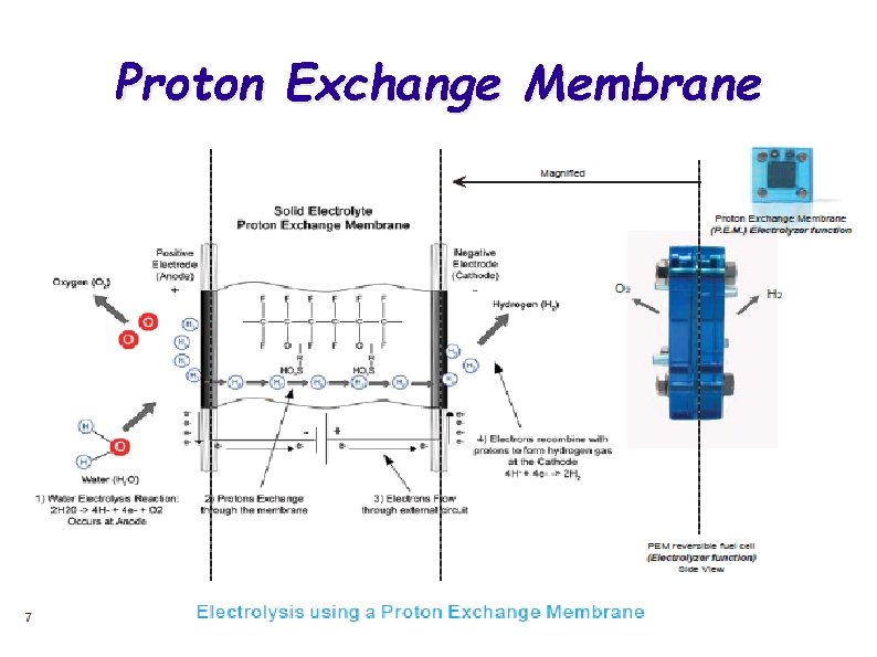 Proton Exchange Membrane 