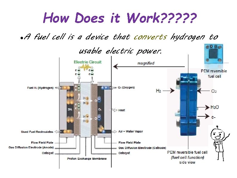 How Does it Work? ? ? A fuel cell is a device that converts