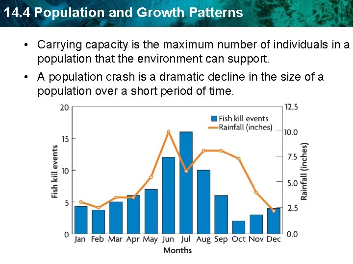 14. 4 Population and Growth Patterns • Carrying capacity is the maximum number of