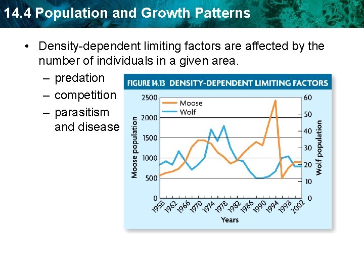 14. 4 Population and Growth Patterns • Density-dependent limiting factors are affected by the