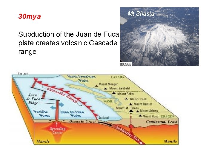 30 mya Subduction of the Juan de Fuca plate creates volcanic Cascade range Mt
