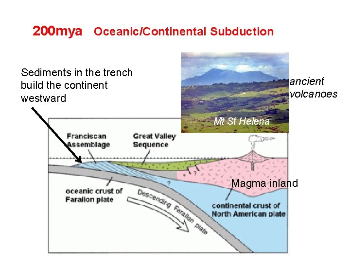 200 mya Oceanic/Continental Subduction Sediments in the trench build the continent westward ancient volcanoes