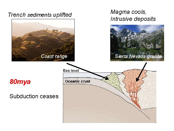 Trench sediments uplifted Coast range 80 mya Subduction ceases Magma cools, Intrusive deposits Sierra