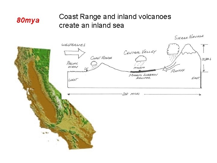80 mya Coast Range and inland volcanoes create an inland sea 
