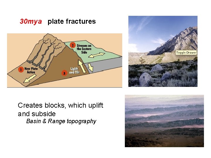 30 mya plate fractures Creates blocks, which uplift and subside Basin & Range topography