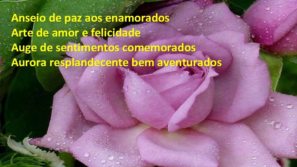 Anseio de paz aos enamorados Arte de amor e felicidade Auge de sentimentos comemorados