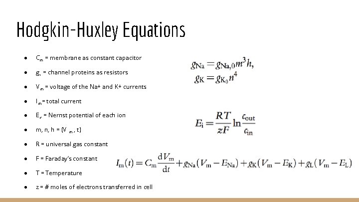 Hodgkin-Huxley Equations ● Cm = membrane as constant capacitor ● gi = channel proteins