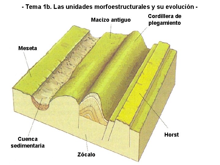 - Tema 1 b. Las unidades morfoestructurales y su evolución Macizo antiguo Zócalos Cordillera