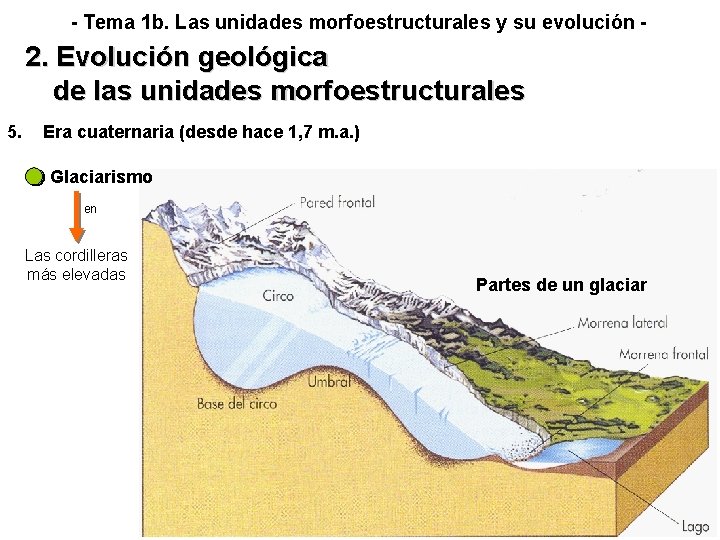 - Tema 1 b. Las unidades morfoestructurales y su evolución - 2. Evolución geológica