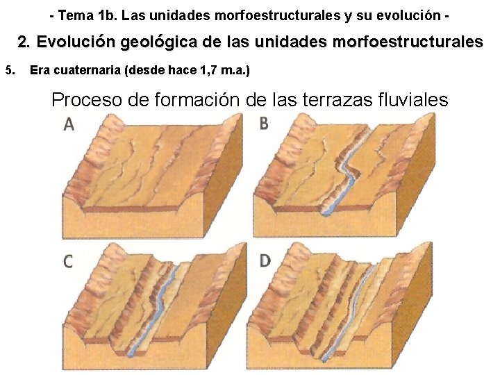 - Tema 1 b. Las unidades morfoestructurales y su evolución - 2. Evolución geológica