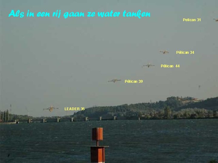 Als in een rij gaan ze water tanken Pelican 31 Pélican 34 Pélican 44