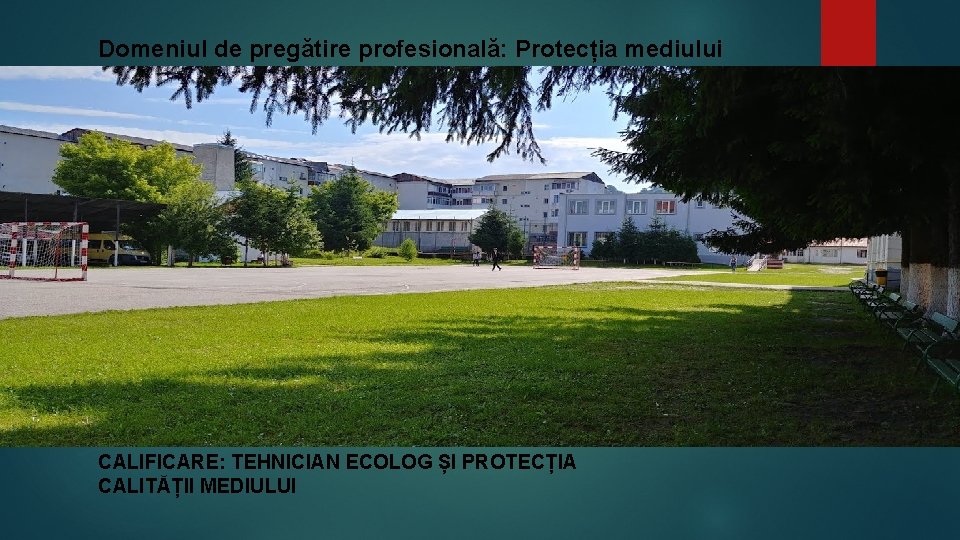 Domeniul de pregătire profesională: Protecția mediului CALIFICARE: TEHNICIAN ECOLOG ȘI PROTECȚIA CALITĂȚII MEDIULUI 