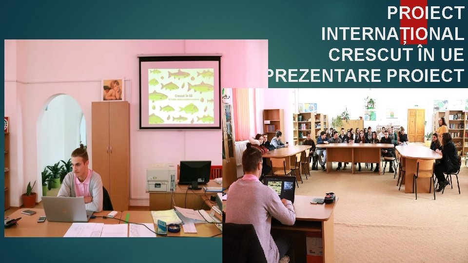 PROIECT INTERNAȚIONAL CRESCUT ÎN UE PREZENTARE PROIECT PROIECT INTERNAȚIONAL CRESCUT ÎN UE PREZENTARE PROIECT