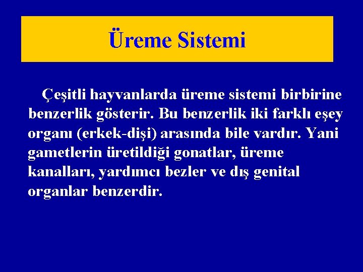 Üreme Sistemi Çeşitli hayvanlarda üreme sistemi birbirine benzerlik gösterir. Bu benzerlik iki farklı eşey