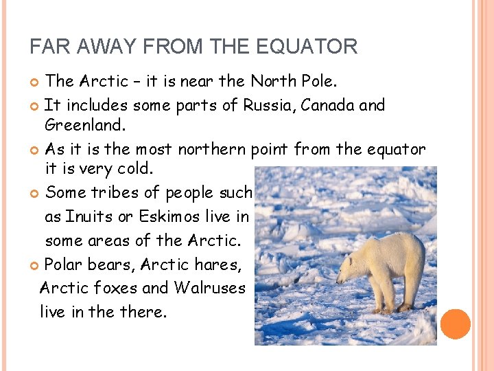 FAR AWAY FROM THE EQUATOR The Arctic – it is near the North Pole.