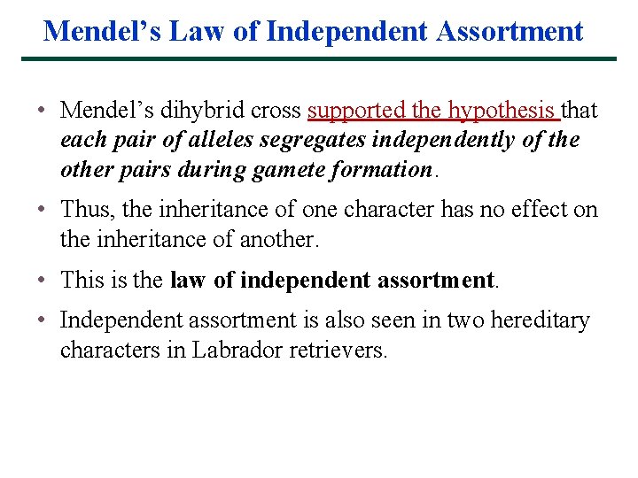 Mendel’s Law of Independent Assortment • Mendel’s dihybrid cross supported the hypothesis that each