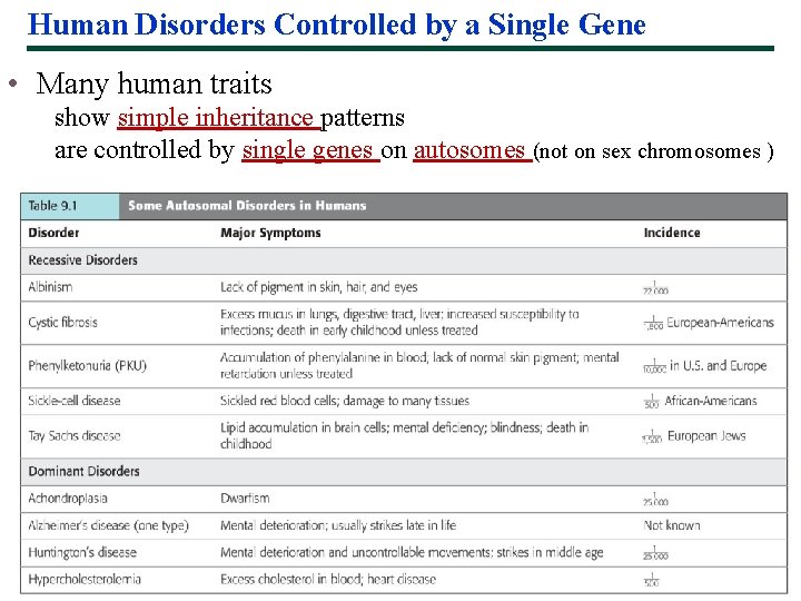 Human Disorders Controlled by a Single Gene • Many human traits show simple inheritance