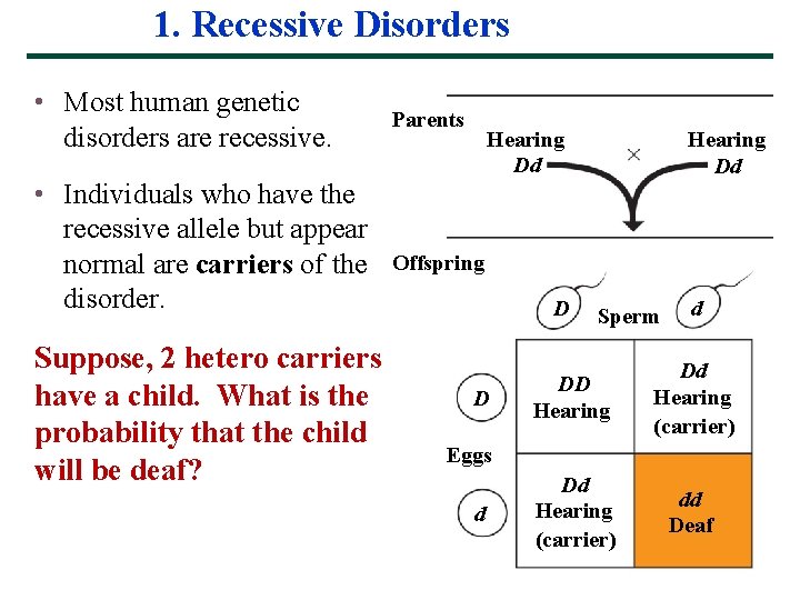 1. Recessive Disorders • Most human genetic disorders are recessive. • Individuals who have