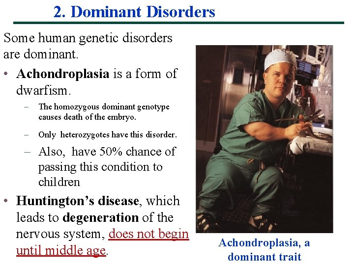 2. Dominant Disorders Some human genetic disorders are dominant. • Achondroplasia is a form