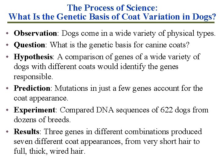 The Process of Science: What Is the Genetic Basis of Coat Variation in Dogs?