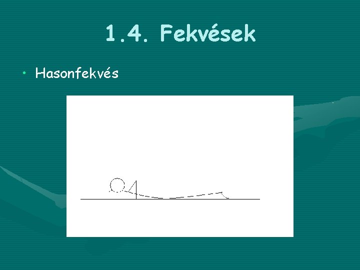 1. 4. Fekvések • Hasonfekvés 