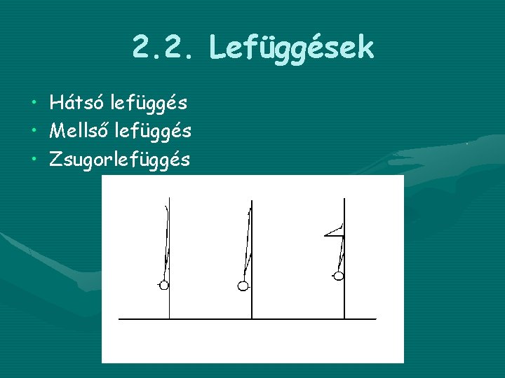 2. 2. Lefüggések • Hátsó lefüggés • Mellső lefüggés • Zsugorlefüggés 