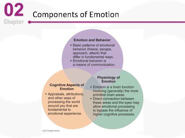 Components of Emotion 