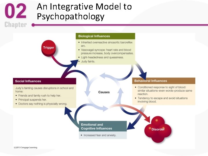 An Integrative Model to Psychopathology 