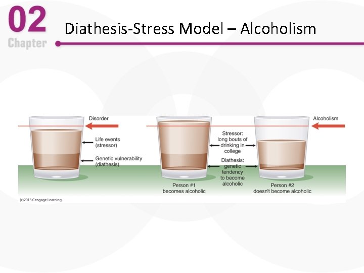 Diathesis-Stress Model – Alcoholism 