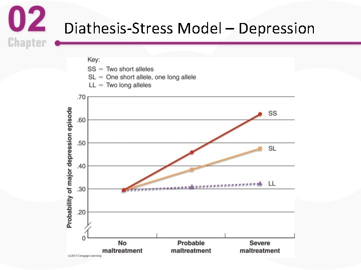 Diathesis-Stress Model – Depression 