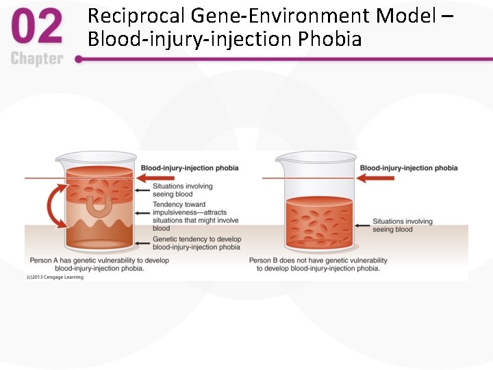 Reciprocal Gene-Environment Model – Blood-injury-injection Phobia 