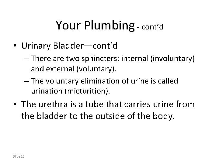 Your Plumbing - cont’d • Urinary Bladder—cont’d – There are two sphincters: internal (involuntary)