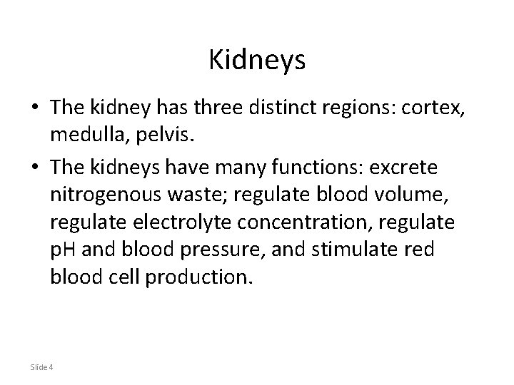 Kidneys • The kidney has three distinct regions: cortex, medulla, pelvis. • The kidneys
