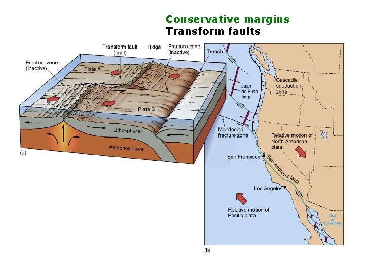 Conservative margins Transform faults Conservative margins Transform faults