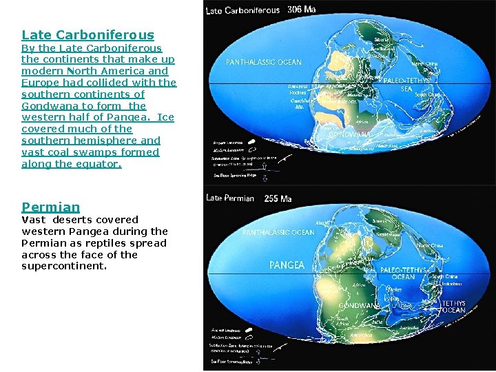 Late Carboniferous By the Late Carboniferous the continents that make up modern North America