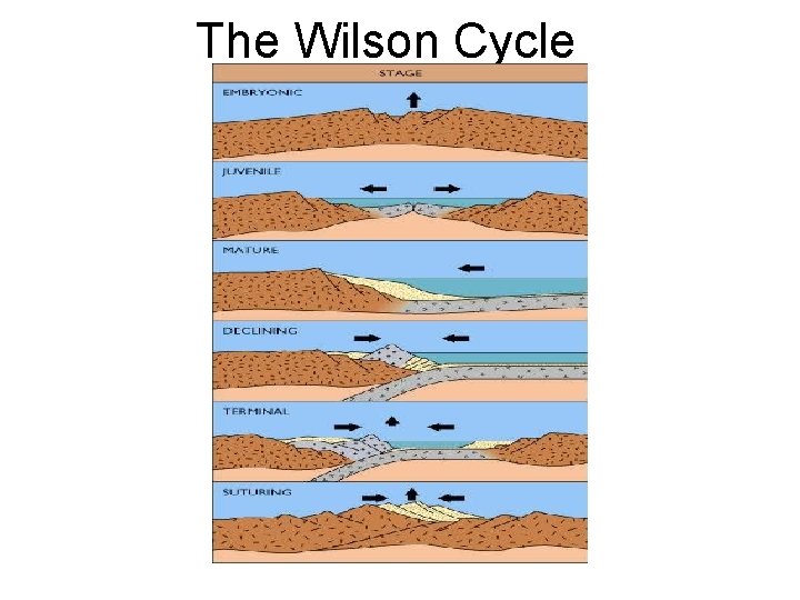 The Wilson Cycle 