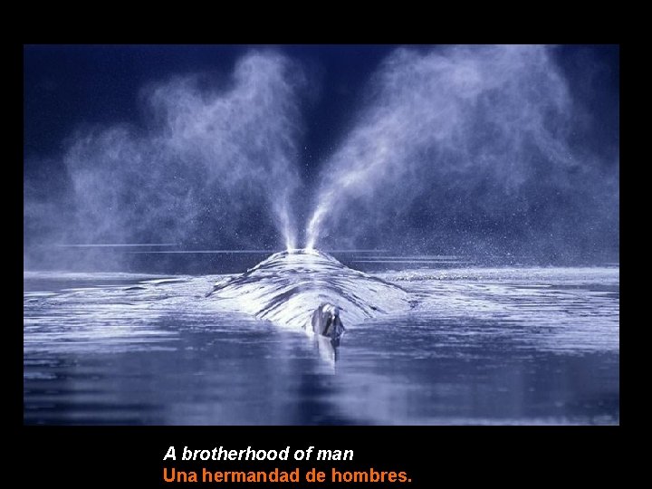 A brotherhood of man Una hermandad de hombres. 