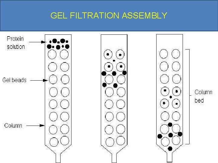 GEL FILTRATION ASSEMBLY 