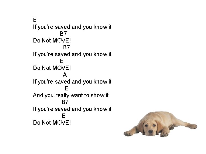 E If you’re saved and you know it B 7 Do Not MOVE! B