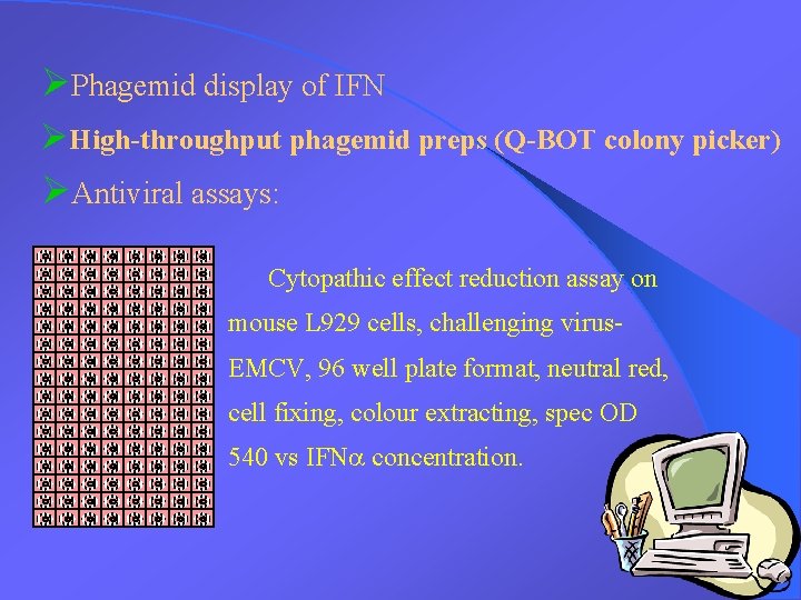 ØPhagemid display of IFN ØHigh-throughput phagemid preps (Q-BOT colony picker) ØAntiviral assays: Cytopathic effect