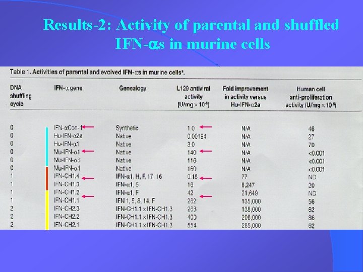 Results-2: Activity of parental and shuffled IFN-as in murine cells 