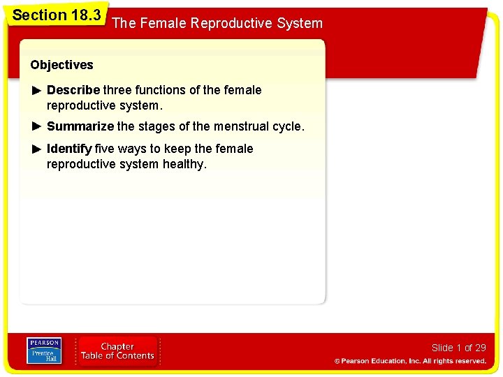 Section 18. 3 The Female Reproductive System Objectives Describe three functions of the female