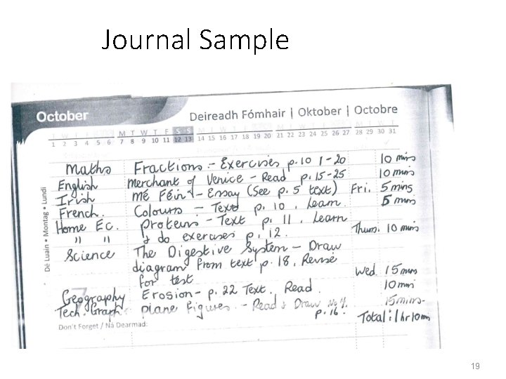 Journal Sample 19 