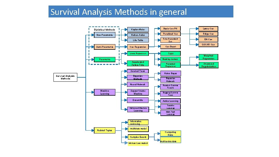 Survival Analysis Methods in general Statistical Methods Kaplan-Meier Basic Cox-PH Lasso-Cox Non-Parametric Nelson-Aalen Penalized