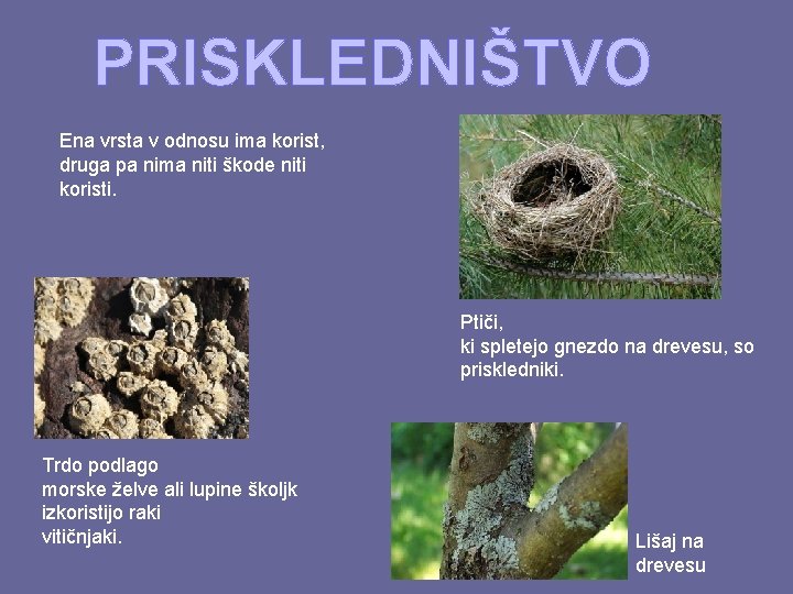 PRISKLEDNIŠTVO Ena vrsta v odnosu ima korist, druga pa nima niti škode niti koristi.